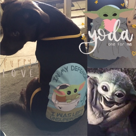 Meet your Posher ๐ด๐๐ป - Picture 6 of 16